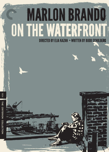 奔流犬:先生归来